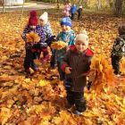 9c8e0bdcec2ced5ebe7cc637edf06743 (1).jpg